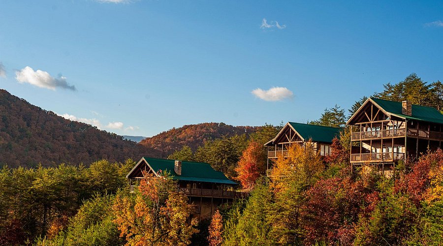 Pet-friendly resorts in Bangalore