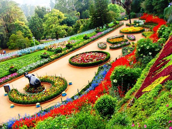Popular Attractions in Ooty—Must-Visit Tourist Places in Ooty