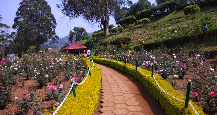 Ooty Destination Places – Best Tourist Places in Ooty for Travelers